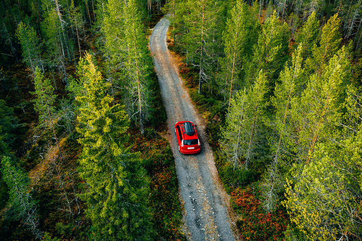 auto mit dachbox im wald