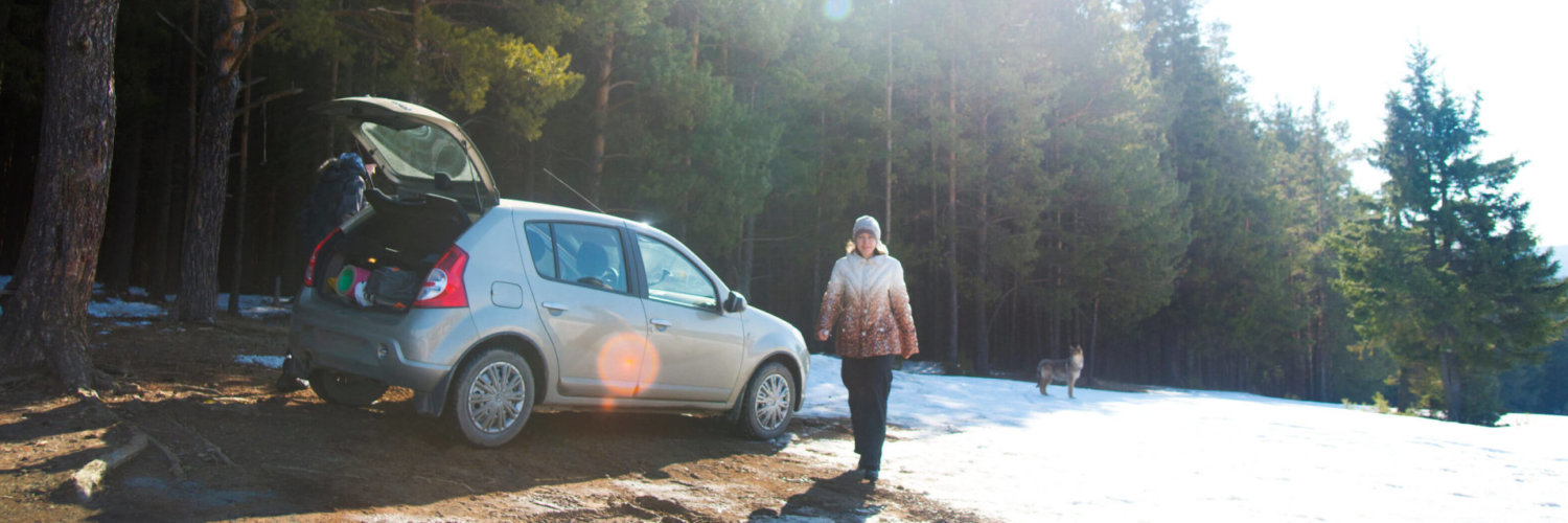 kleines auto mit allrad im wald