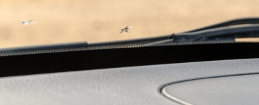 steinschlag in der windschutzscheibe